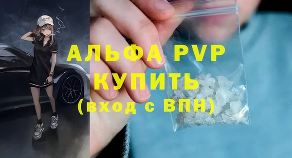 a pvp Бородино