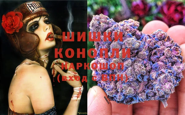 молекула духа Верхний Тагил