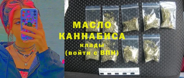 молекула духа Верхний Тагил