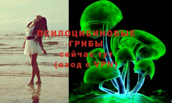a pvp Бородино