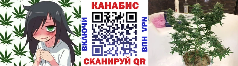 Бошки марихуана марихуана  Купить закладки  Лыткарино 